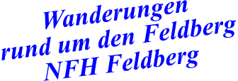 Wanderungen  rund um den Feldberg NFH Feldberg